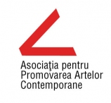 Internshipuri la Asociația pentru Promovarea Artelor Contemporane