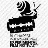 BIEFF 2013 - Call for entries - Film și arte vizuale