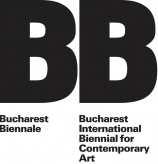 Voluntar la Bucharest Biennale 6