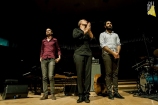 Avishai Cohen: glas de contrabas