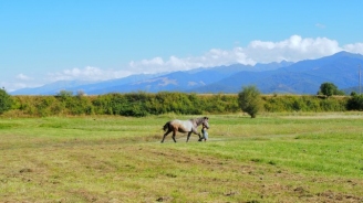 10+ motive să îţi pară rău că nu ai ajuns la CUCA