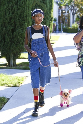 Stil: Willow Smith 