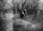 Dara, pădurea şi fantomele