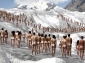 Spencer Tunick - militantism social fără inhibiții