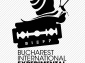 BIEFF 2013 - Call for entries - Film și arte vizuale
