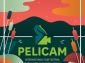 A 4a ediţie Pelicam începe pe 11 iunie